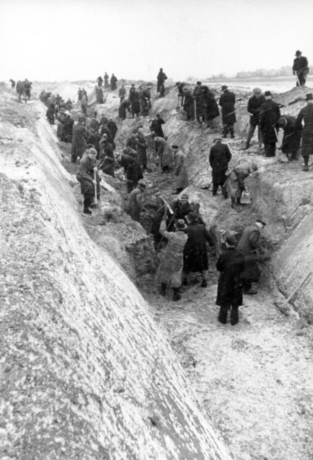 Germans digging anti-tank trenches outside Berlin. 